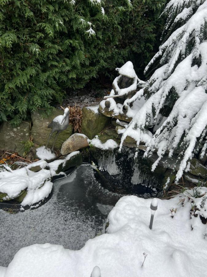 Aristocrathomestay Vancouver Dış mekan fotoğraf