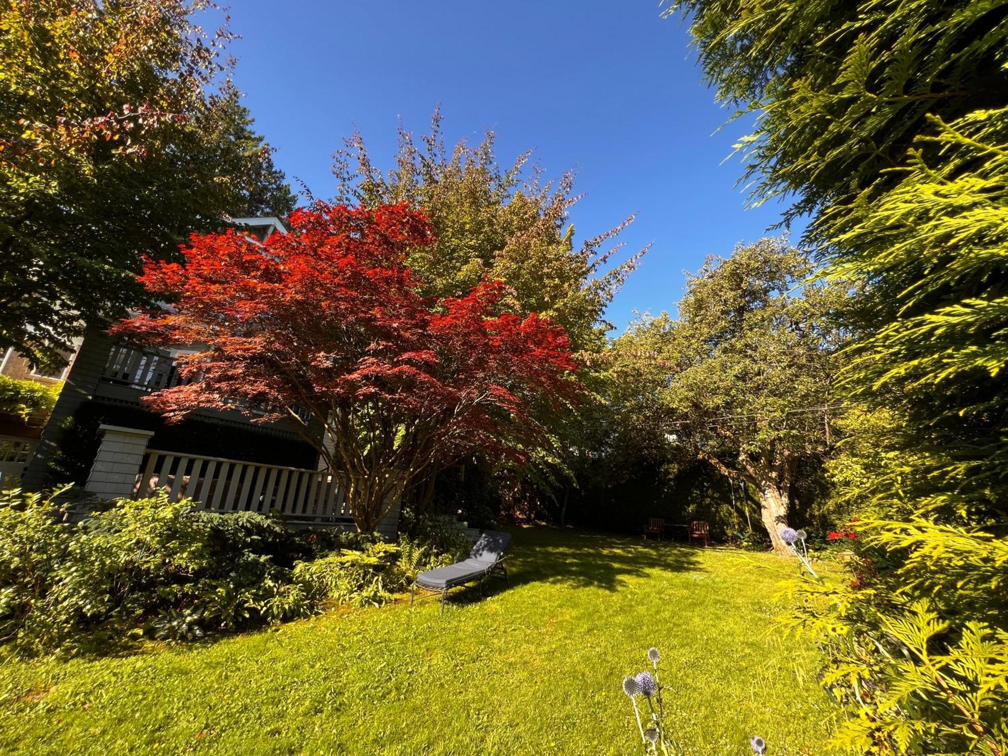 Aristocrathomestay Vancouver Dış mekan fotoğraf